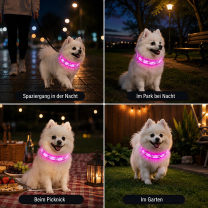 LED_Hundehalsband_Anwendungsszenarien