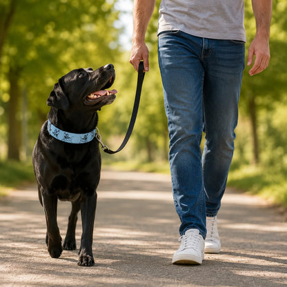 LED_Hundehalsband_Anwendungsszenarien