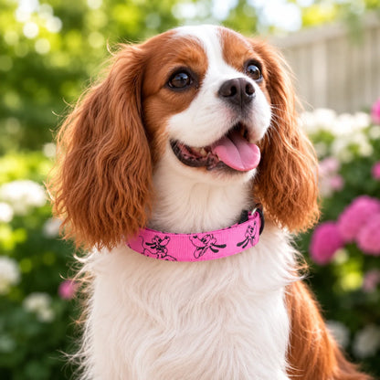 LED_Hundehalsband_Anwendungsszenarien