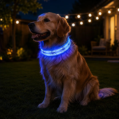 LED_Hundehalsband_variantbild blau