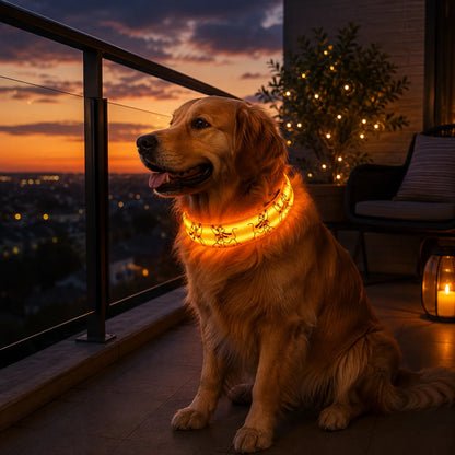 LED_Hundehalsband_variantbild gelb