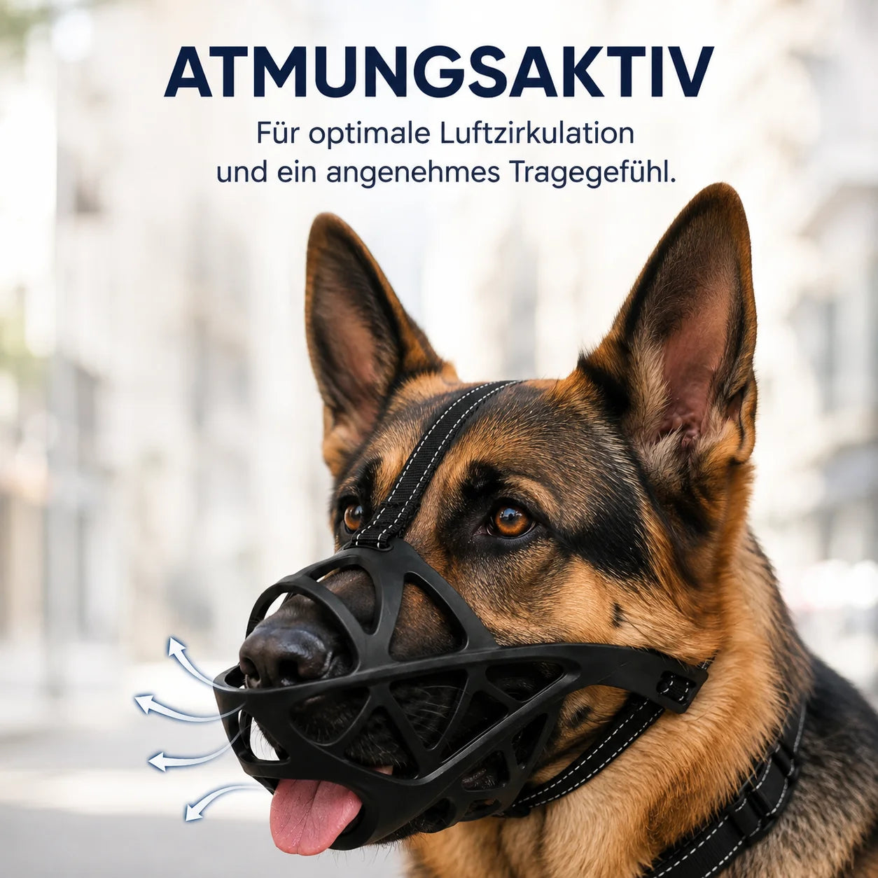 Maulkorb_Deutscher  Produktmerkmale 