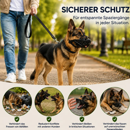 Maulkorb_Deutscher Problem & Lösung