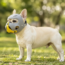 Maulkorb für Französische Bulldogge Hauptbild