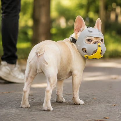 Maulkorb für Französische Bulldogge Lifestyle-Bild