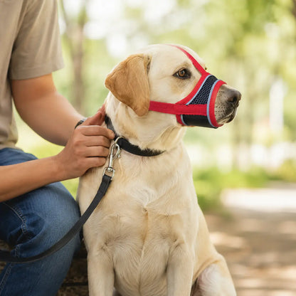 Maulkorb für Hunde Lifestyle-Bild