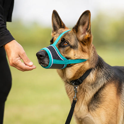 Maulkorb für Hunde Lifestyle-Bild