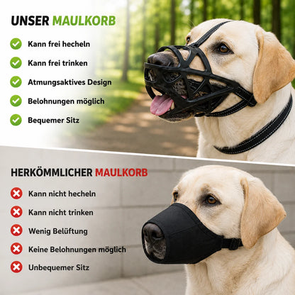 Maulkorb_f_r_Labrador Produktvergleich 