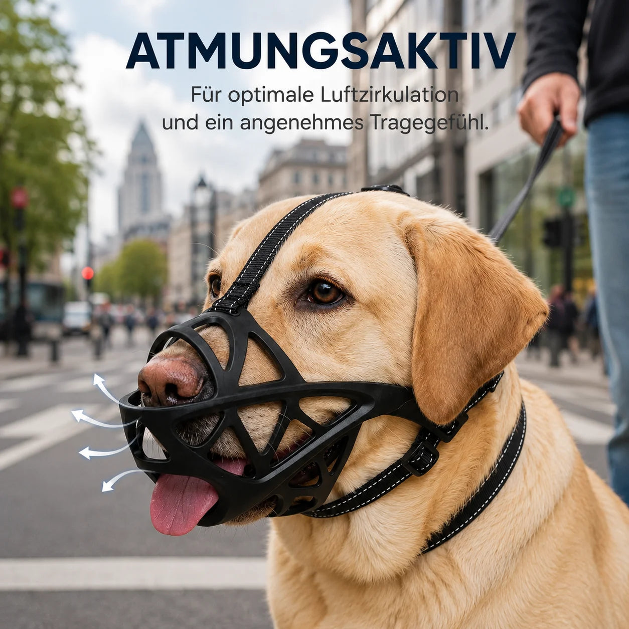 Maulkorb_f_r_Labrado Produktmerkmale 