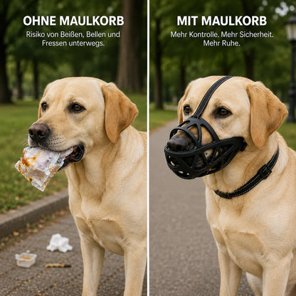 Maulkorb_f_r_Labrado Produktvergleich 