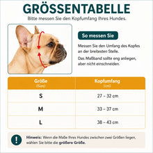 Maulkorb_f_r_kurznasige 