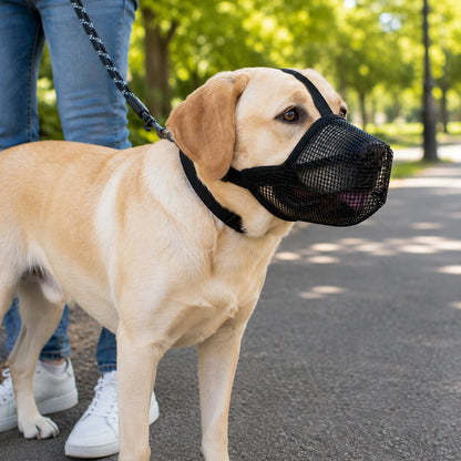 Mesh_Hundemaulkorb_Weich variantbild Schwarz