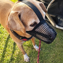 Hundemaulkorb