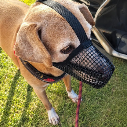 Hundemaulkorb