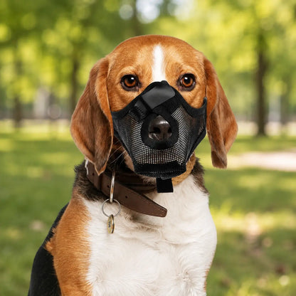 Hundemaulkorb 