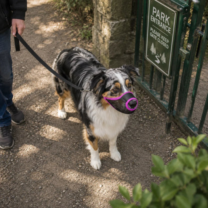 Hundemaulkorb