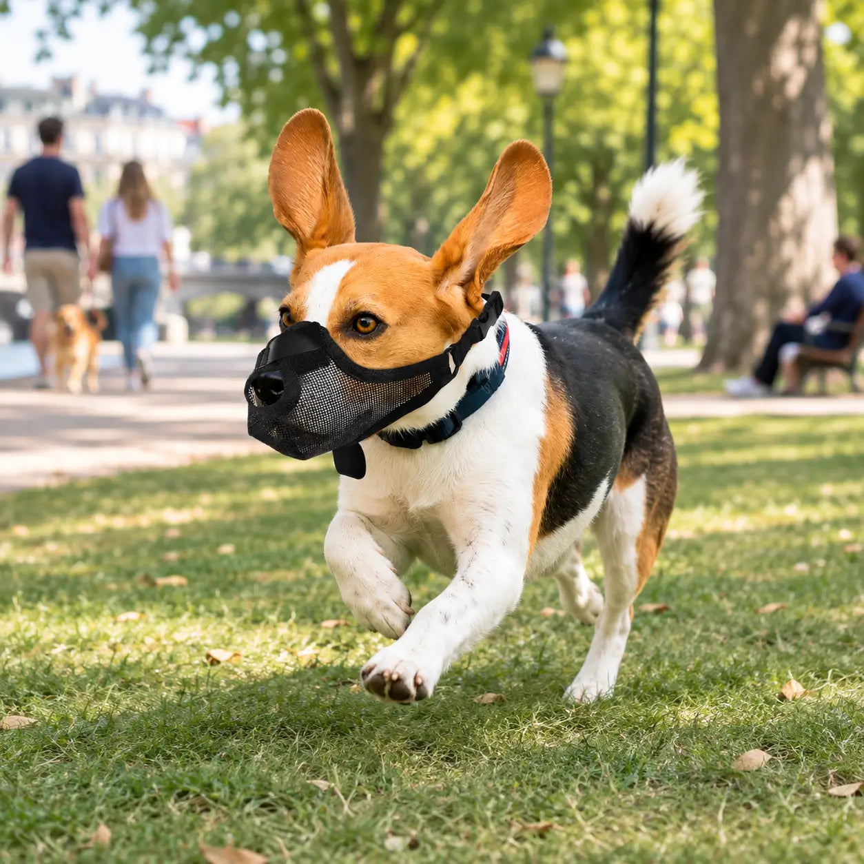 Hundemaulkorb