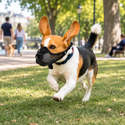 Hundemaulkorb