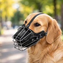 Hundemaulkorb Hauptbild 