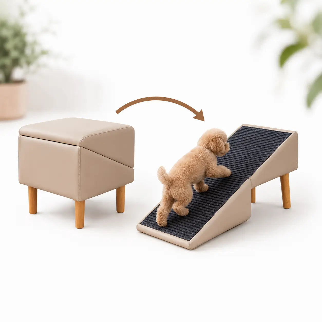 Hundetreppe Hauptbild 