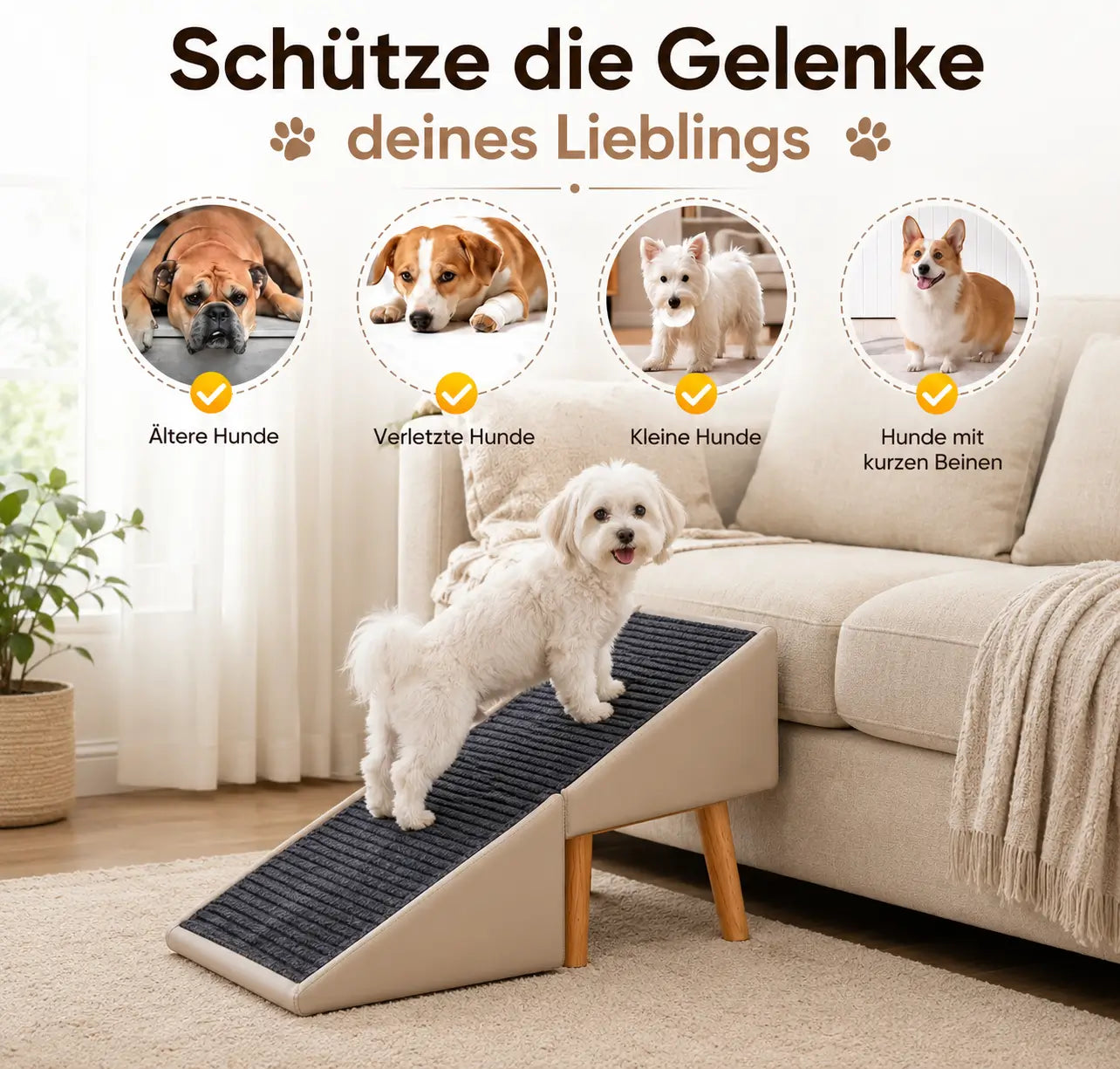 Hundetreppe Funktionsübersicht 
