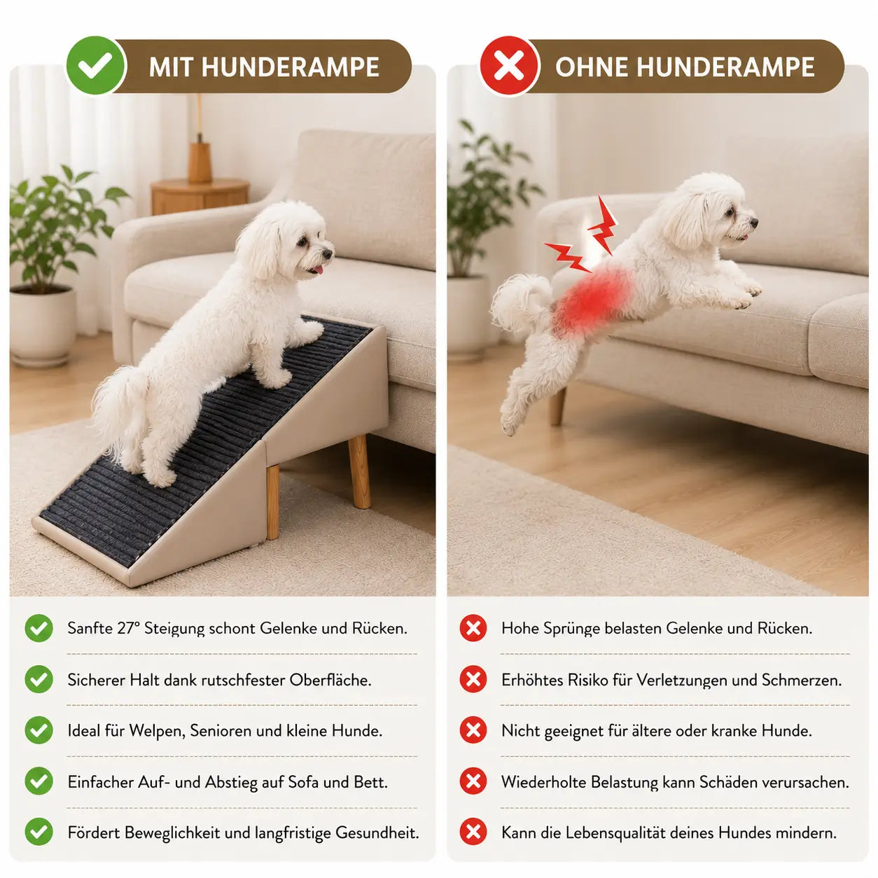 Hundetreppe Problem & Lösung