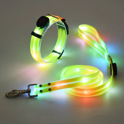 GlowPaw – LED Hundehalsband mit Leine für sichere Abendspaziergänge