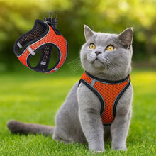 Reflective breathable cat harness | Comfortable & safe