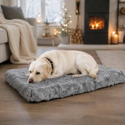 Hundebett