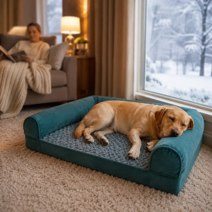 Hundebett mit Memory-Schaum Lifestyle-Bild
