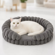 Katzenbett
