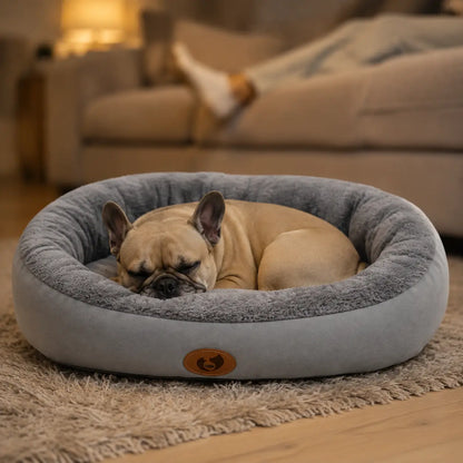 Ovales Hundebett Lifestyle-Bild