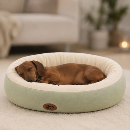 Ovales Hundebett Lifestyle-Bild