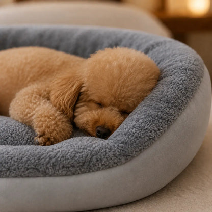 Ovales Hundebett Lifestyle-Bild