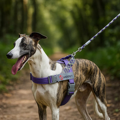 Hundegeschirr Einfach Anziehbar | Verstellbar & Atmungsaktiv