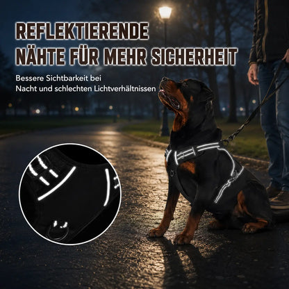 Hundegeschirr Produktmerkmale 