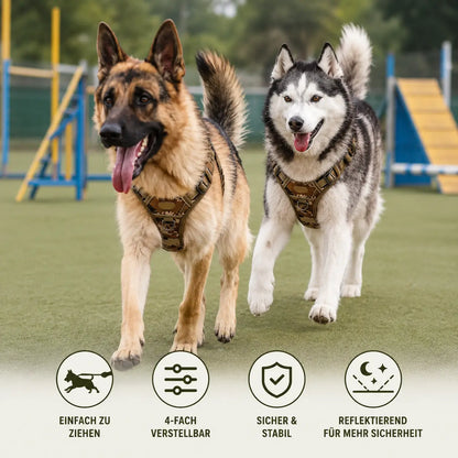 Hundegeschirr Funktionsübersicht 