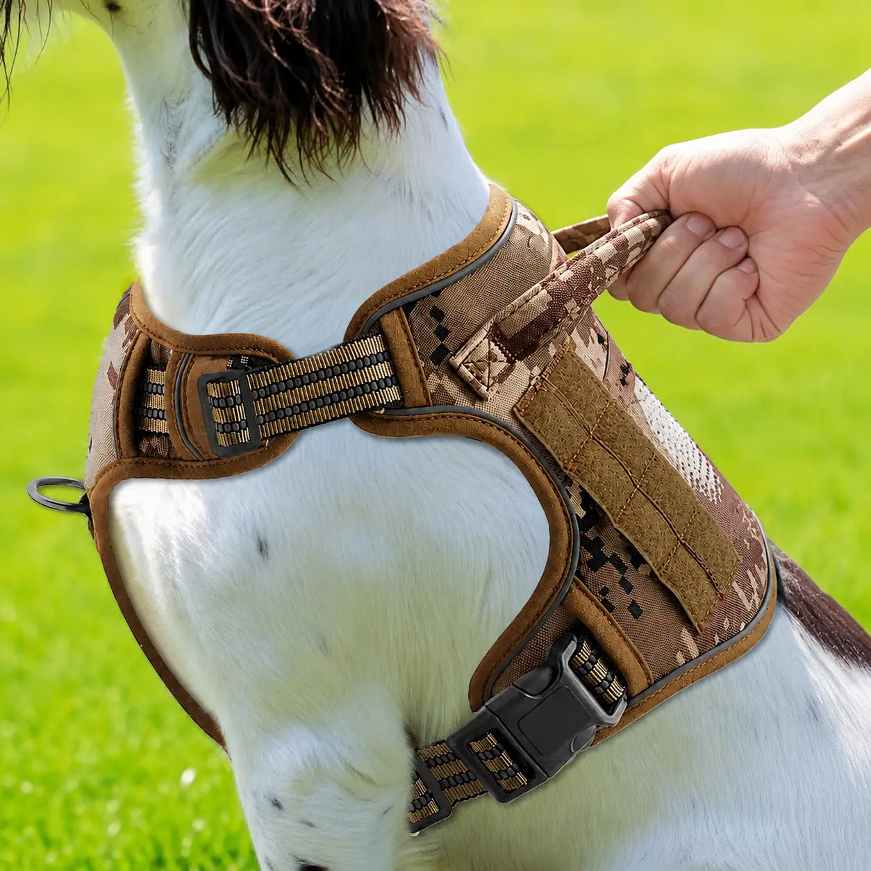 Hundegeschirr Pull