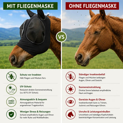 Fliegenmaske Problem & Lösung 