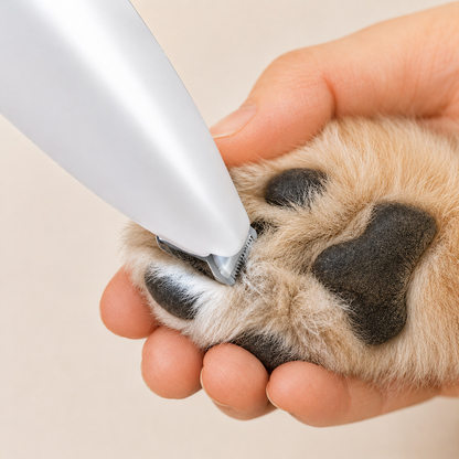 Pfotenrasierer für Hunde & Katzen | Leise mit LED-Licht