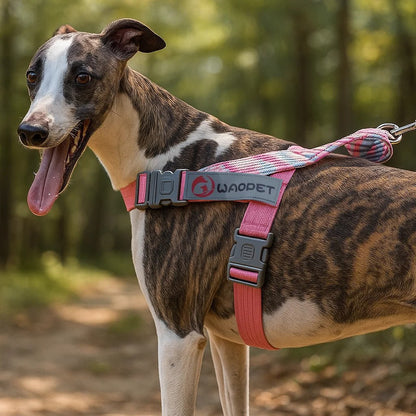 Hundegeschirr Einfach Anziehbar | Verstellbar & Atmungsaktiv