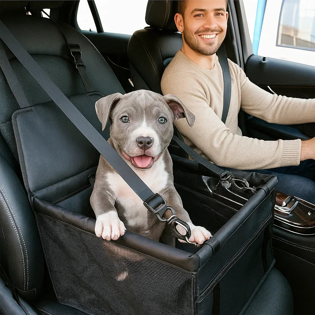 Hunde Autositz Erhöht | Sicherer & Bequemer Reisesitz für Kleine Hunde
