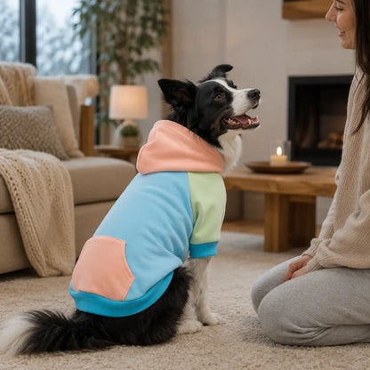 Pullover Hund Lifestyle-Bild