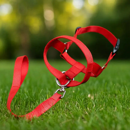 Maulkorb Hund Nylon | verstellbar, sicher & komfortabel