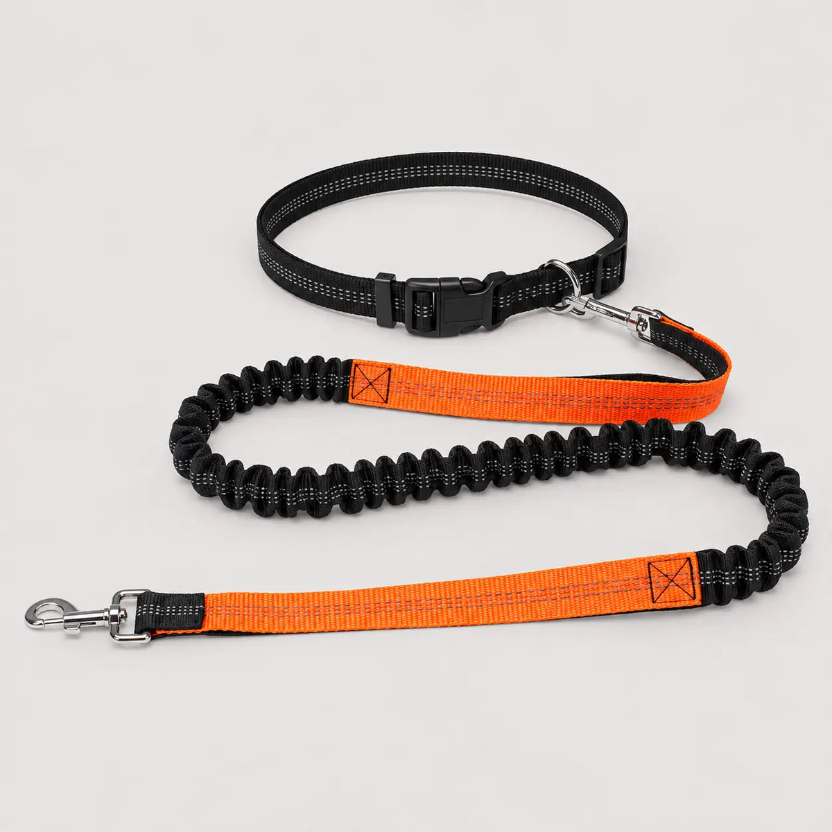 Hundehalsband 