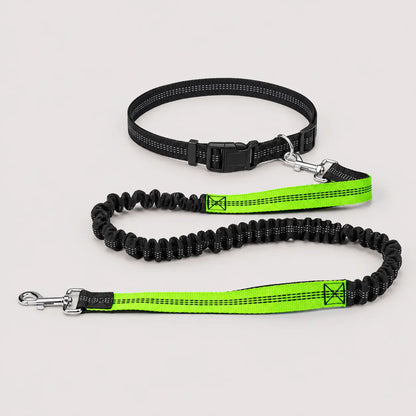 Hundehalsband 
