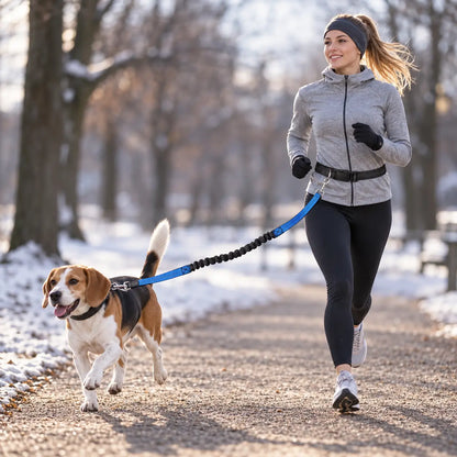 Hundehalsband Lifestyle-Bild