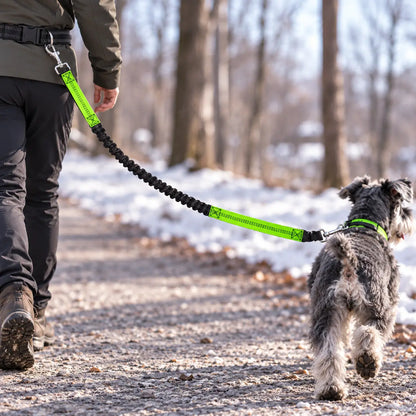 Hundehalsband Lifestyle-Bild