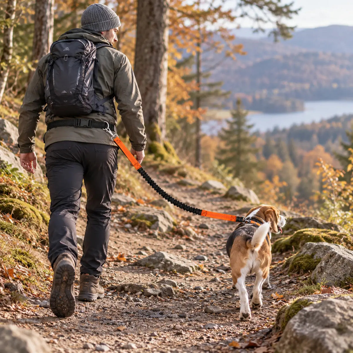 Hundehalsband Lifestyle-Bild
