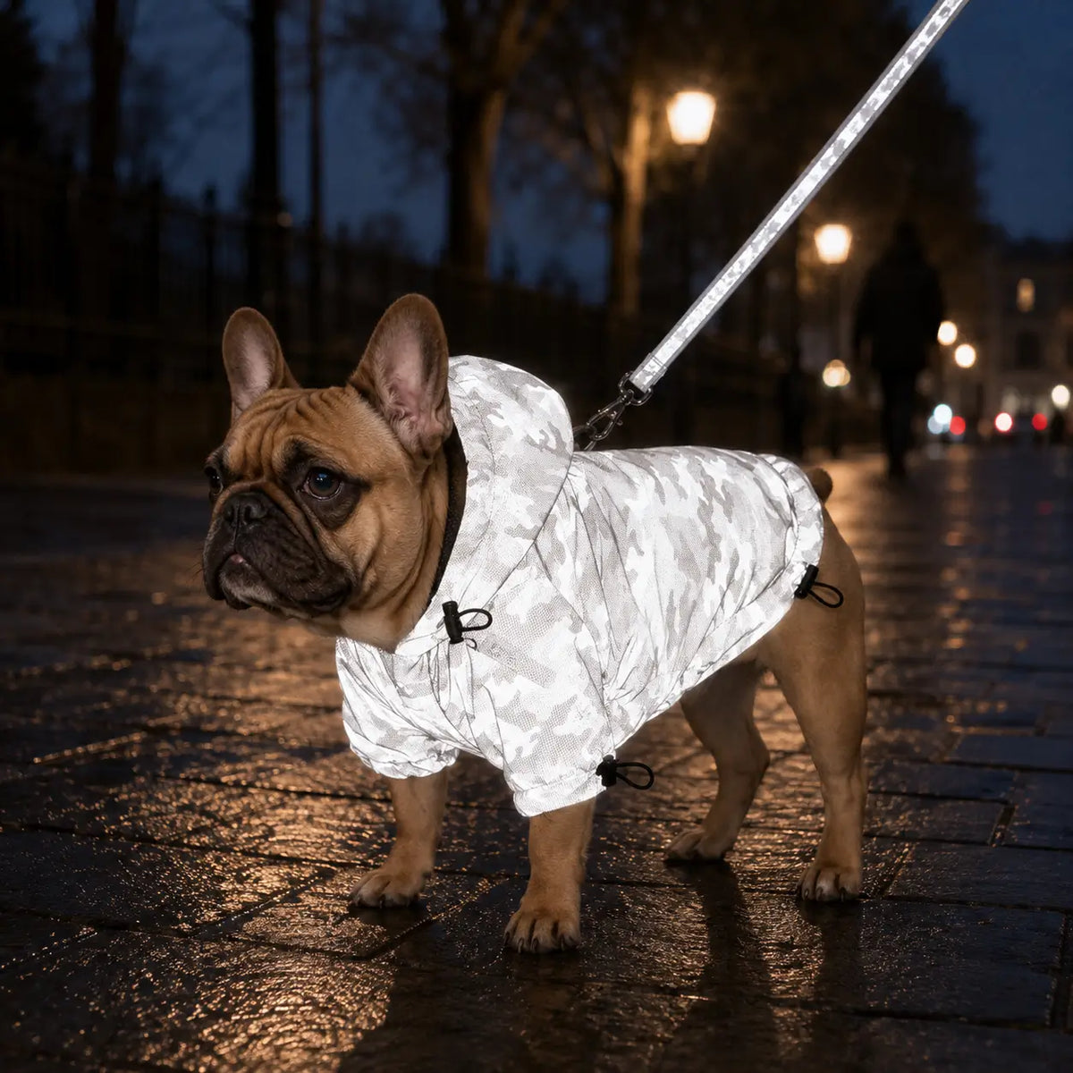 Hundemantel